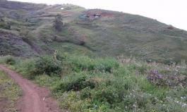 Chalet pareado