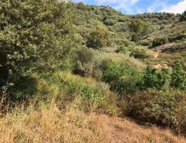 Piece of land