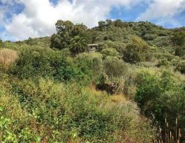Piece of land