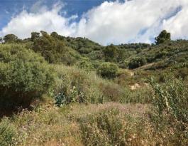 Piece of land