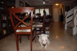 Chalet pareado