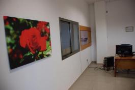 Propiedades Comercial
