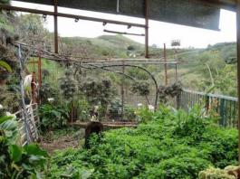 Chalet pareado