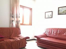 Semi detached house