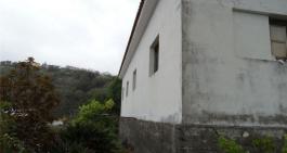 Semi detached house