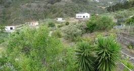 Semi detached house