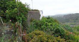 Semi detached house