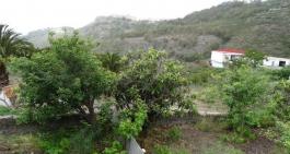 Semi detached house