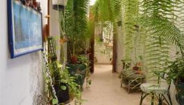 Semi detached house
