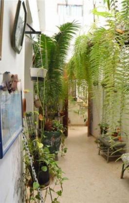 Semi detached house