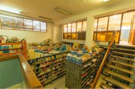 Commercial Property