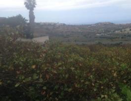 Piece of land
