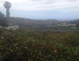 Piece of land