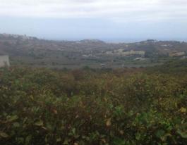 Piece of land