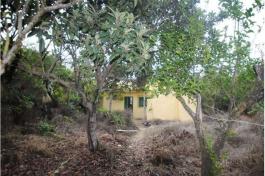 Semi detached house