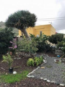 Semi detached house
