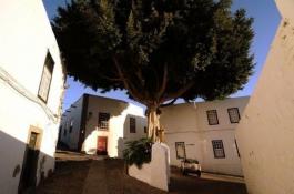 Semi detached house