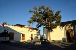 Semi detached house