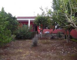 Semi detached house