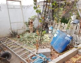 Semi detached house
