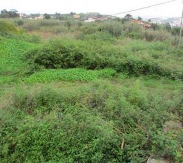 Piece of land