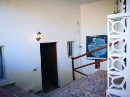 Semi detached house