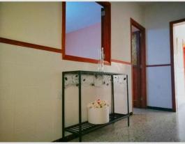Semi detached house