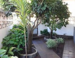 Semi detached house