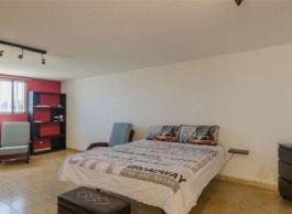 Semi detached house