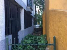 Semi detached house