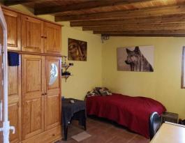 Semi detached house