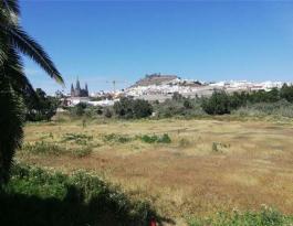 Piece of land