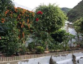 Semi detached house