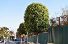 Semi detached house