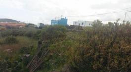 Piece of land
