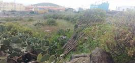 Piece of land