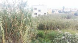 Piece of land