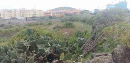Piece of land