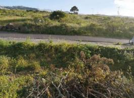 Piece of land