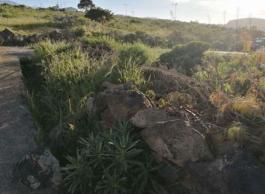 Piece of land