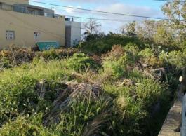 Piece of land