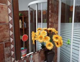 Semi detached house