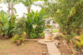 Semi detached house
