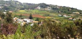 Piece of land