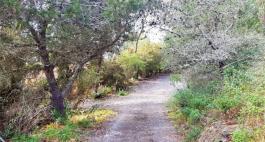 Piece of land