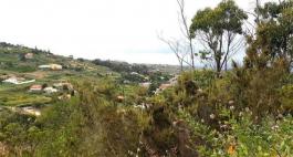 Piece of land