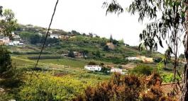 Piece of land