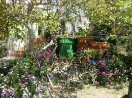 Semi detached house