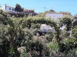 Semi detached house