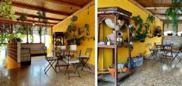 Semi detached house